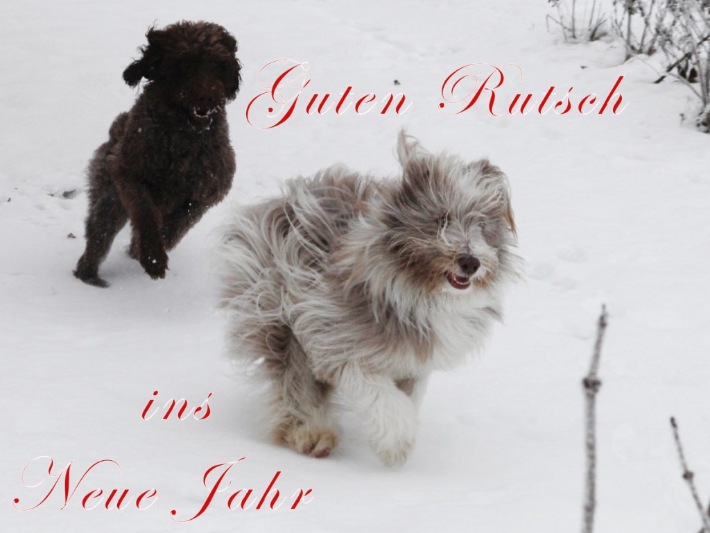 Frohe Weihnachten und einen guten Rutsch ins Neue Jahr 2013 mehrweb