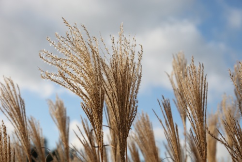 Herbst Gefühle
